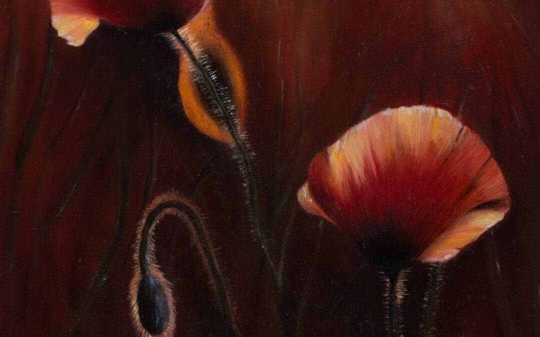 Finalist Foot Square competition: Poppies in Sunset